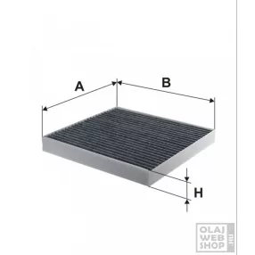 Filtron aktívszenes pollenszűrő K1161A