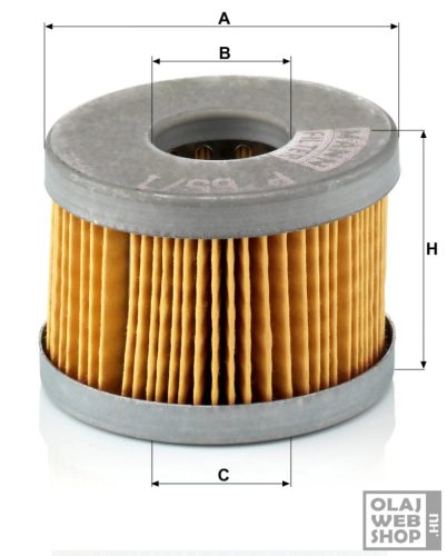 Mann-Filter üzemanyagszűrő P65/1X